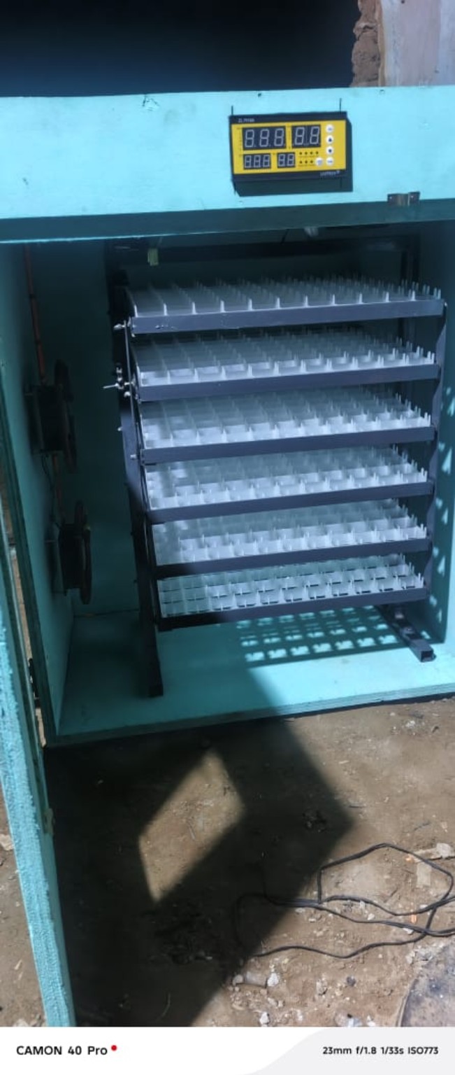 Couveuse automatique Groupe Succès Avicole